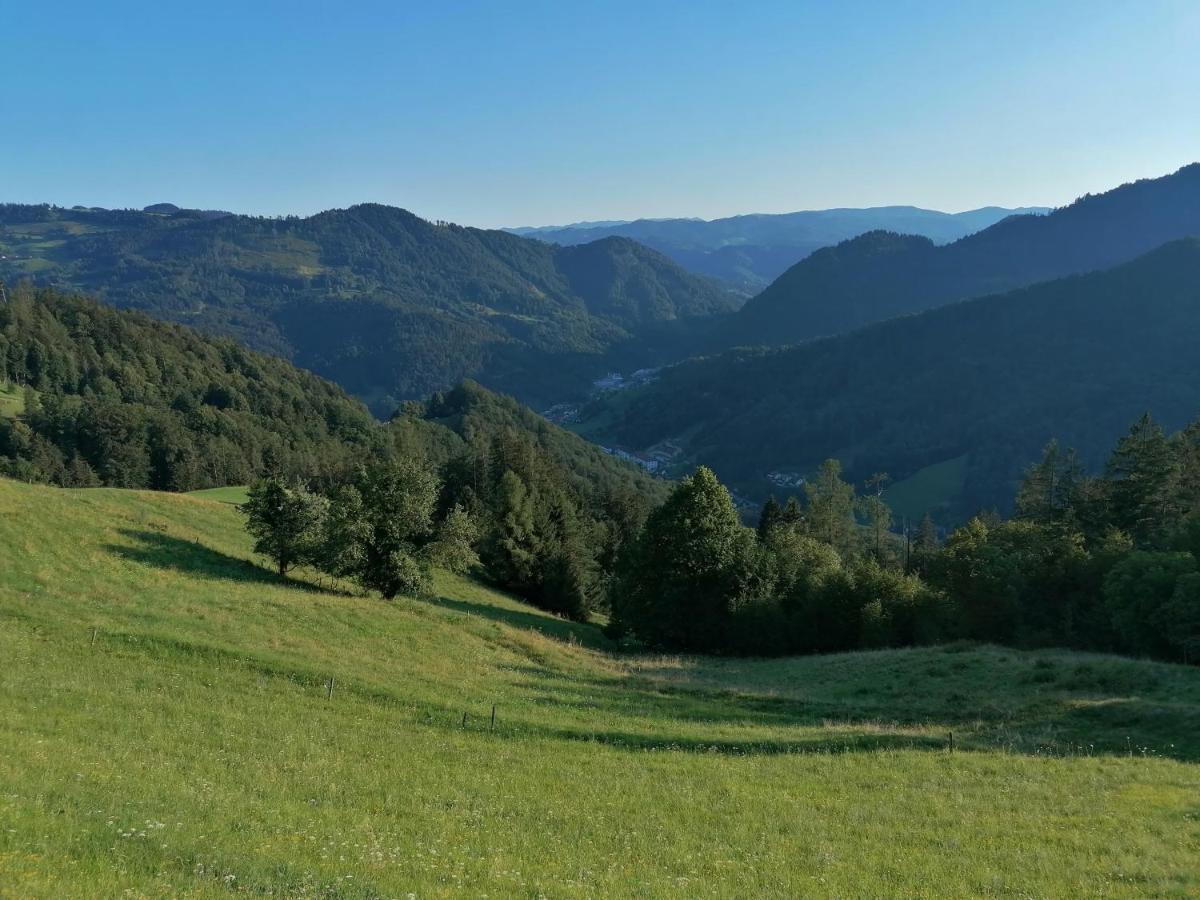 Apartma Na Ravnicah Церкно Экстерьер фото