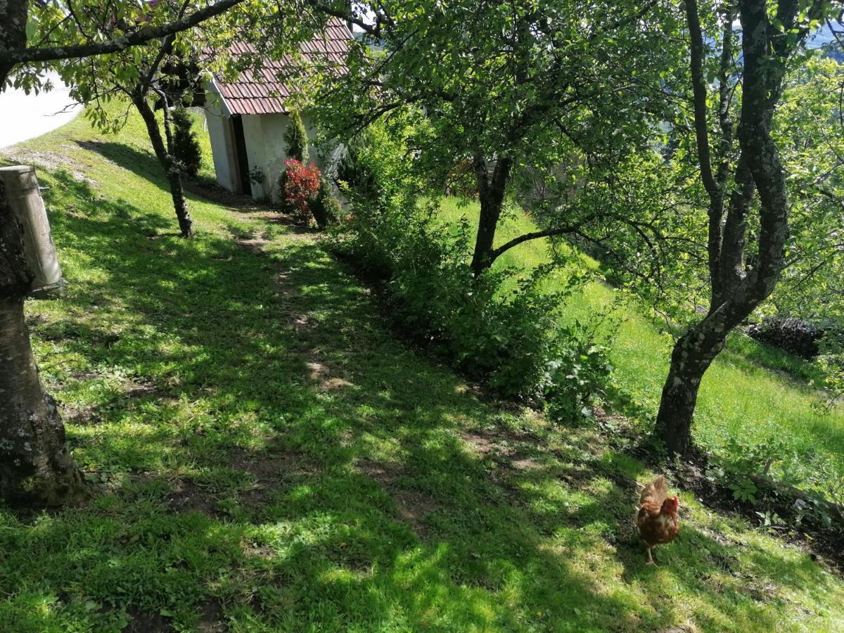 Apartma Na Ravnicah Церкно Экстерьер фото