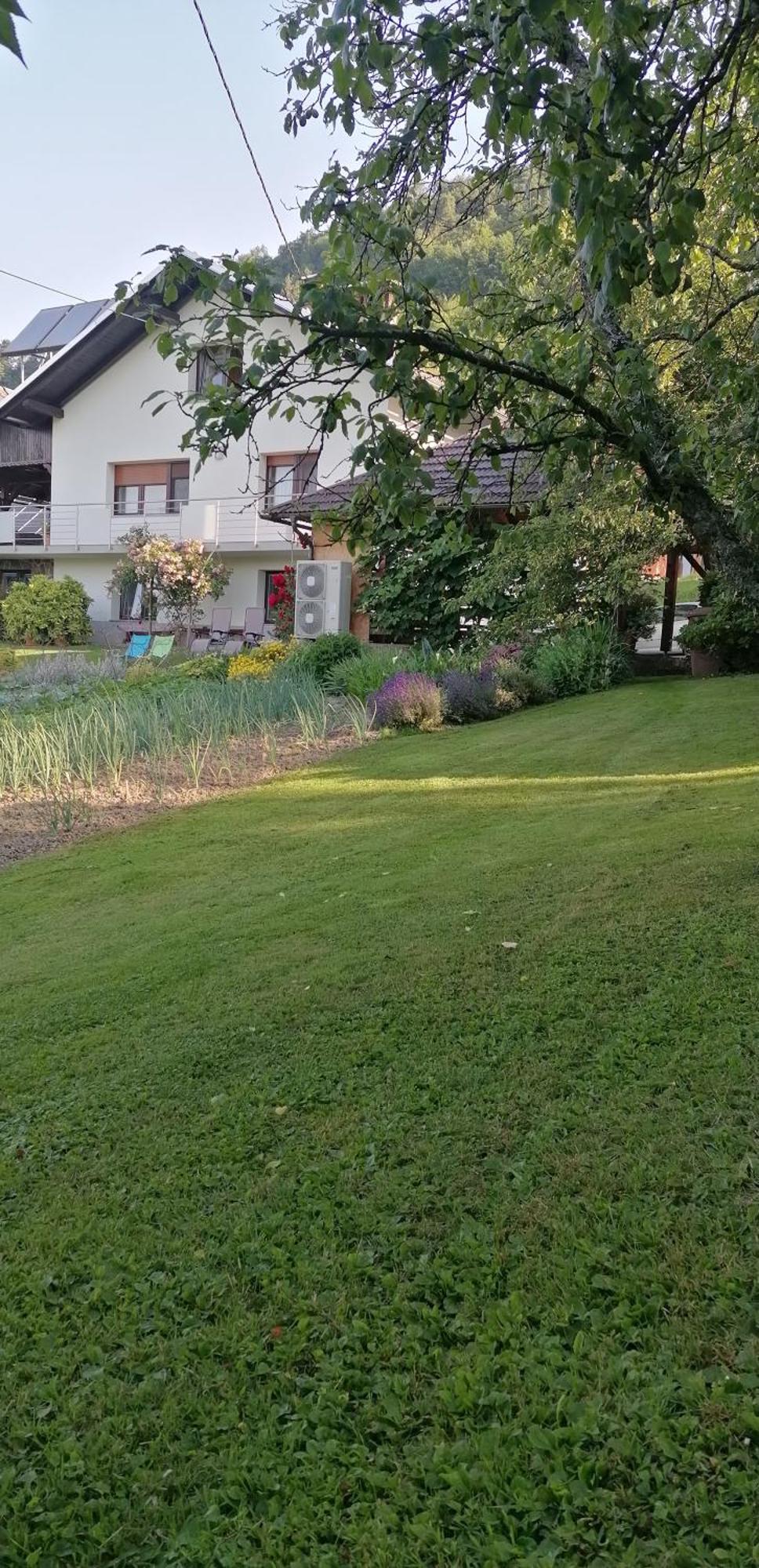 Apartma Na Ravnicah Церкно Экстерьер фото