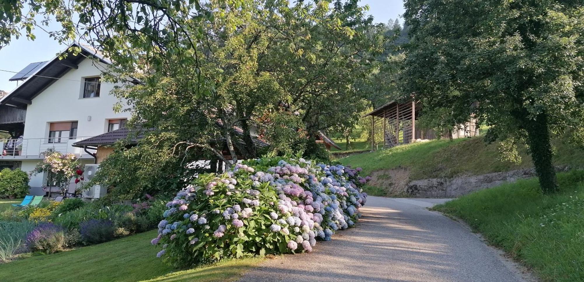 Apartma Na Ravnicah Церкно Экстерьер фото